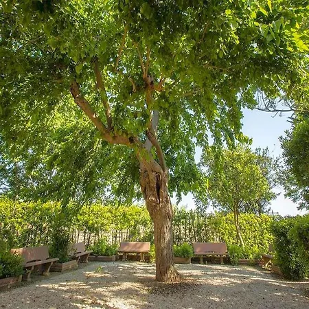 Spacious With Shared Pool, Cleaning Included Apartman Donoratico